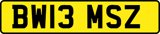 BW13MSZ