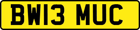 BW13MUC