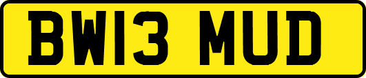 BW13MUD