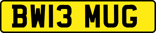 BW13MUG
