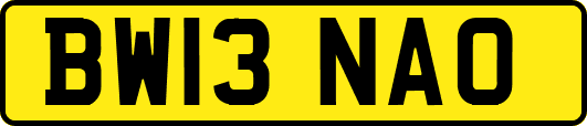 BW13NAO