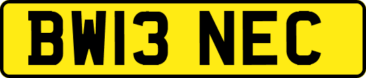 BW13NEC
