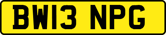 BW13NPG
