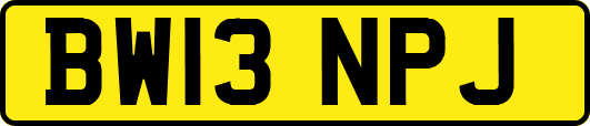 BW13NPJ