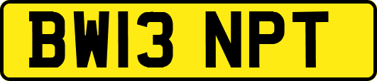 BW13NPT
