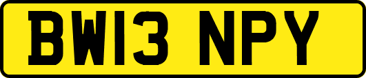 BW13NPY