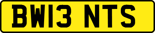 BW13NTS