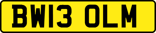 BW13OLM
