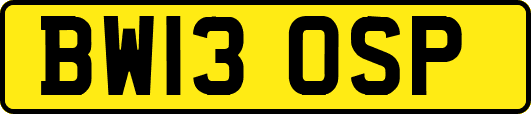 BW13OSP