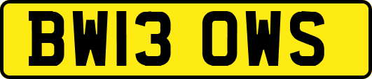 BW13OWS
