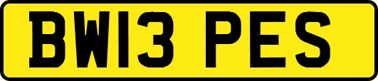 BW13PES