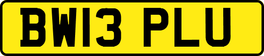 BW13PLU