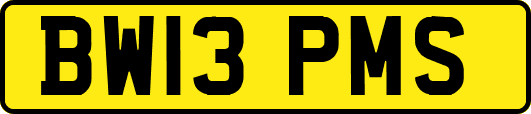 BW13PMS