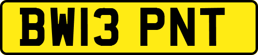 BW13PNT
