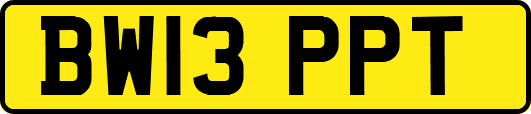 BW13PPT
