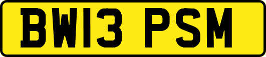 BW13PSM