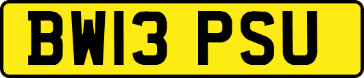 BW13PSU