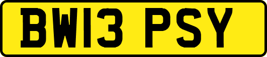BW13PSY