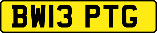 BW13PTG