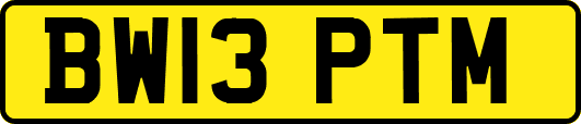 BW13PTM