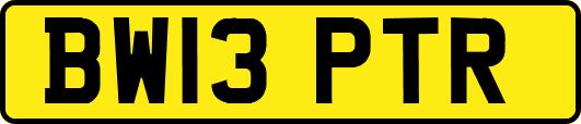 BW13PTR