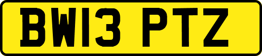 BW13PTZ