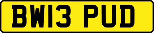 BW13PUD