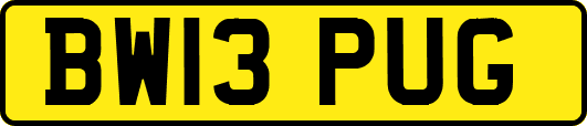 BW13PUG