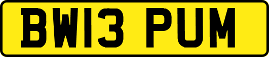 BW13PUM