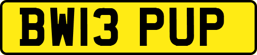 BW13PUP