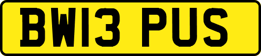 BW13PUS