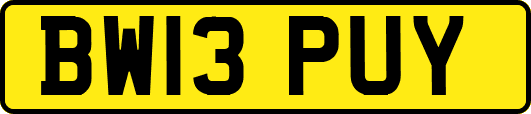 BW13PUY