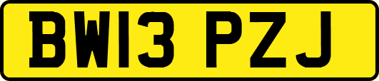 BW13PZJ