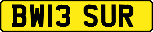 BW13SUR