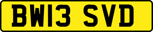 BW13SVD