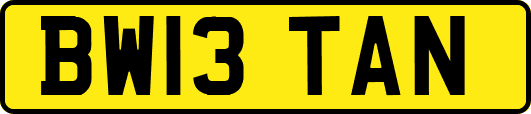 BW13TAN