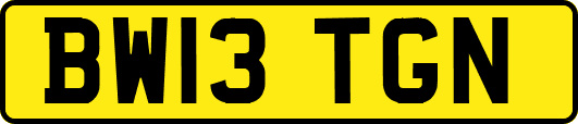 BW13TGN