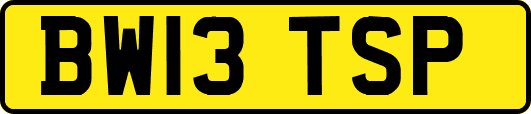 BW13TSP