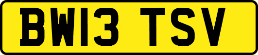 BW13TSV