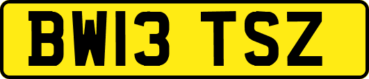 BW13TSZ