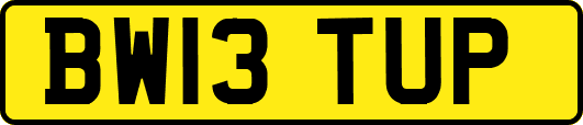 BW13TUP