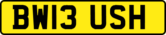 BW13USH