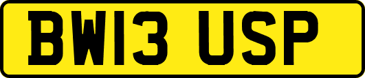 BW13USP