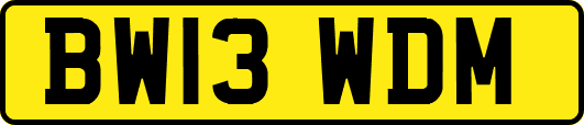 BW13WDM