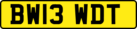BW13WDT