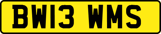 BW13WMS