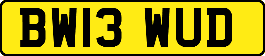 BW13WUD