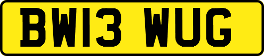 BW13WUG