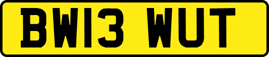 BW13WUT