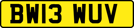 BW13WUV